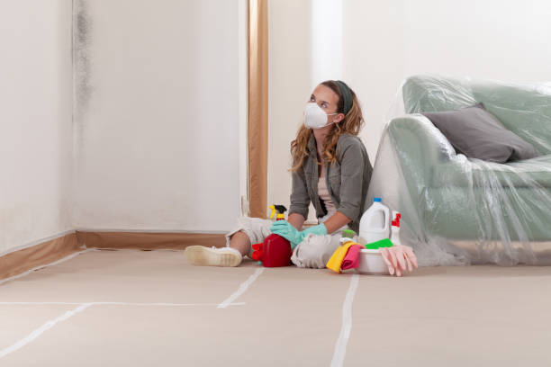 Reliable Mold Remediation contractor in Ledgewood, NJ by 24 Hour Mold Removal